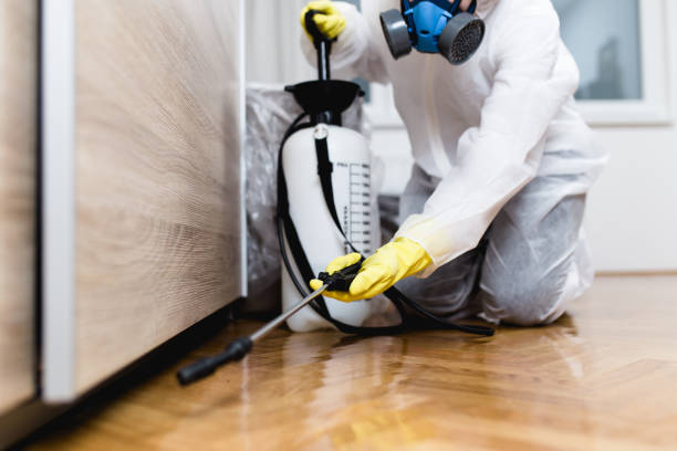 Best Wasp Removal Services  in Las Campanas, NM