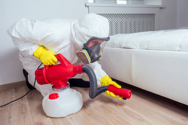 Best Local Pest Control Services  in Las Campanas, NM