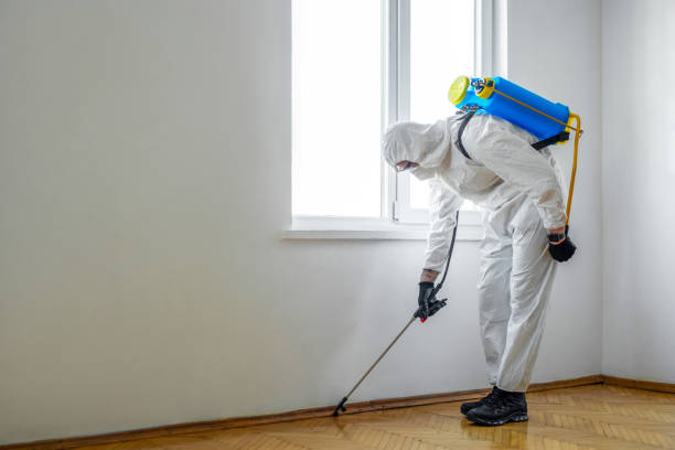 Flea Control Services in Las Campanas, NM