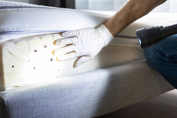 Best Pest Control for Homes  in Las Campanas, NM