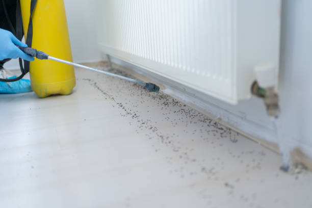 Best Residential Pest Control  in Las Campanas, NM
