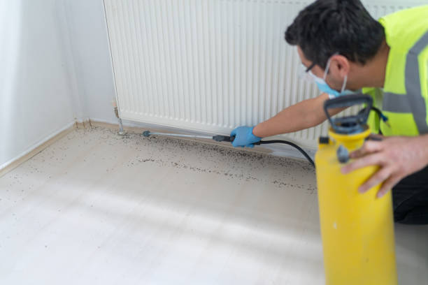 Best Local Pest Control Services  in Las Campanas, NM